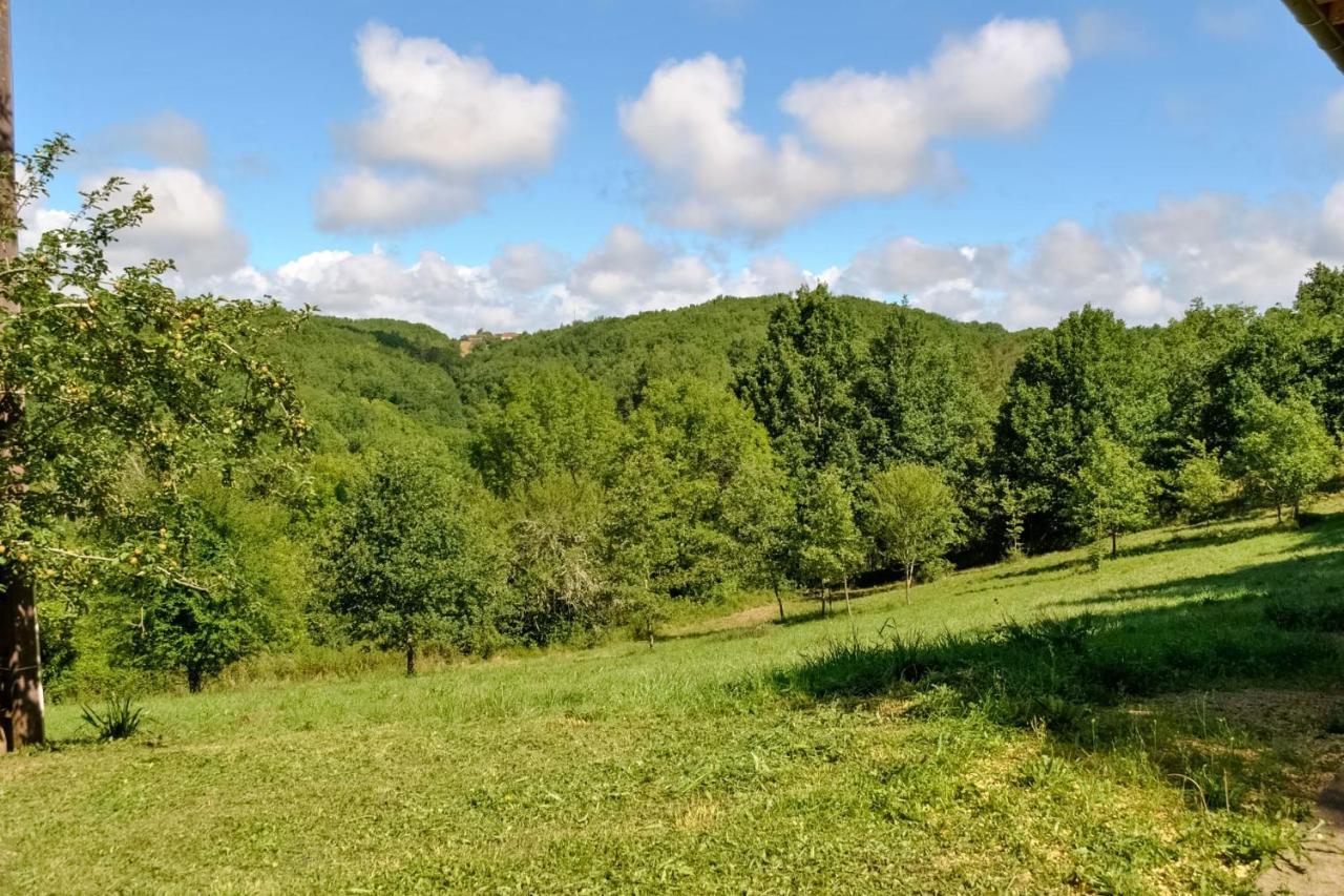 Ancienne Sechoir A Tabac Idealement Place A Limeuil Pour 4 Dans La Nature Εξωτερικό φωτογραφία